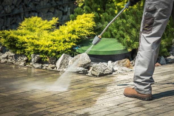 Best Concrete Surface Cleaning in Rancho Alegre, TX